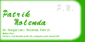 patrik molenda business card